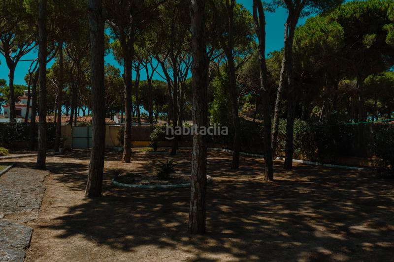 Foto 4b4dc933-ee71-417e-8a07-f47a7b2df4b0. Terreno residencial parcela en Los Gallos Chiclana de la Frontera