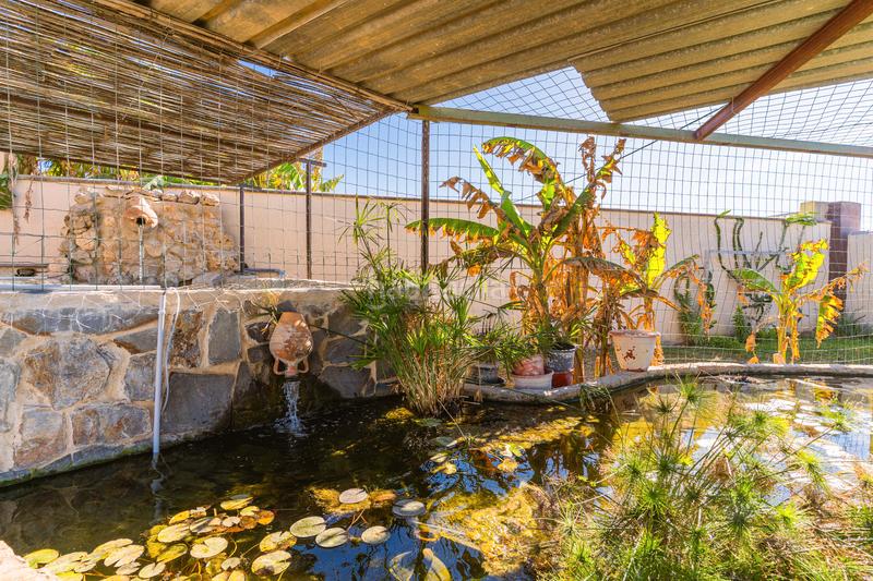 Foto 09d8d819-2c08-46f5-8154-c5eecad92034. Xalet amb aparcament a Los Franceses - La Vega Chiclana de la Frontera