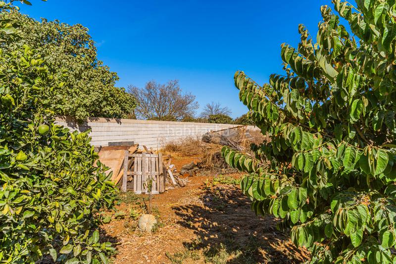 Foto 5f56ae5c-c32d-4d13-936c-69ef9a6b99c3. Xalet amb aparcament a Los Franceses - La Vega Chiclana de la Frontera