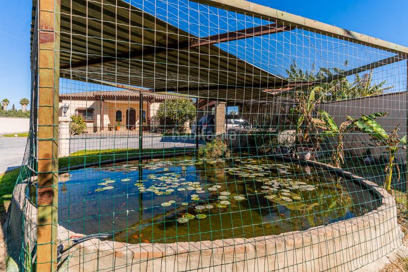 Foto 7a0e0ba0-0c3d-406a-9a59-be4a06f09f2e. Xalet amb aparcament a Los Franceses - La Vega Chiclana de la Frontera