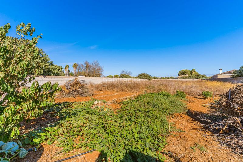 Foto c6b79444-94b2-4758-8f02-8ede4674d6a1. Xalet amb aparcament a Los Franceses - La Vega Chiclana de la Frontera