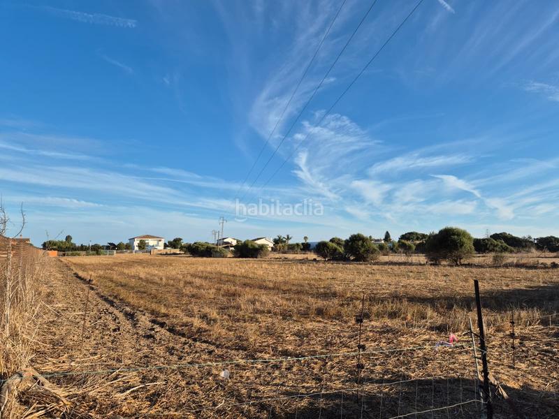 Foto 417e501f-db28-43cf-be33-946b78b3ad27. Finca rústica parcela en El Palmar Vejer de la Frontera