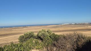 Finca rústica  El palmar. 14 hectareas con vistas al palmar
