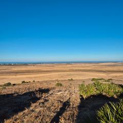 Propriété  El palmar. 14 hectareas con vistas al palmar