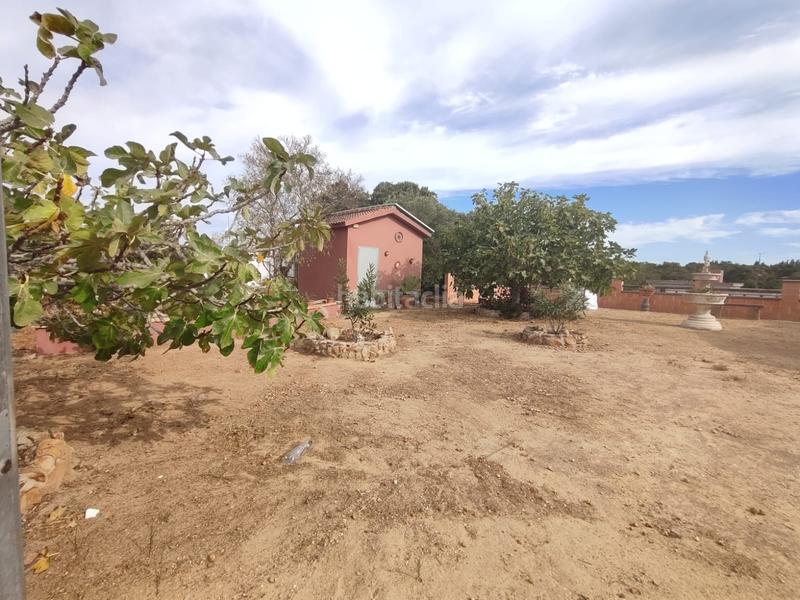 Foto 90d65555-0f1d-4f3a-80f9-bcea0456608e. Masía casa de campo en chiclana en Pelagatos - Pago del Humo Chiclana de la Frontera