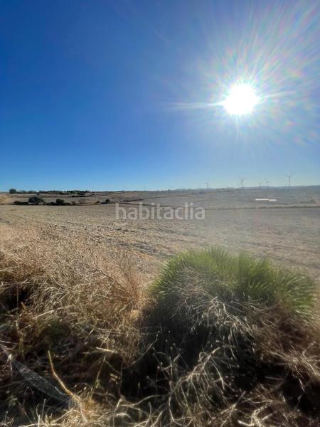 Foto 27819ff5-bebb-45a5-9e6c-5cf3a27856f0. Finca rústica parcela de cultivo en Los Franceses - La Vega Chiclana de la Frontera
