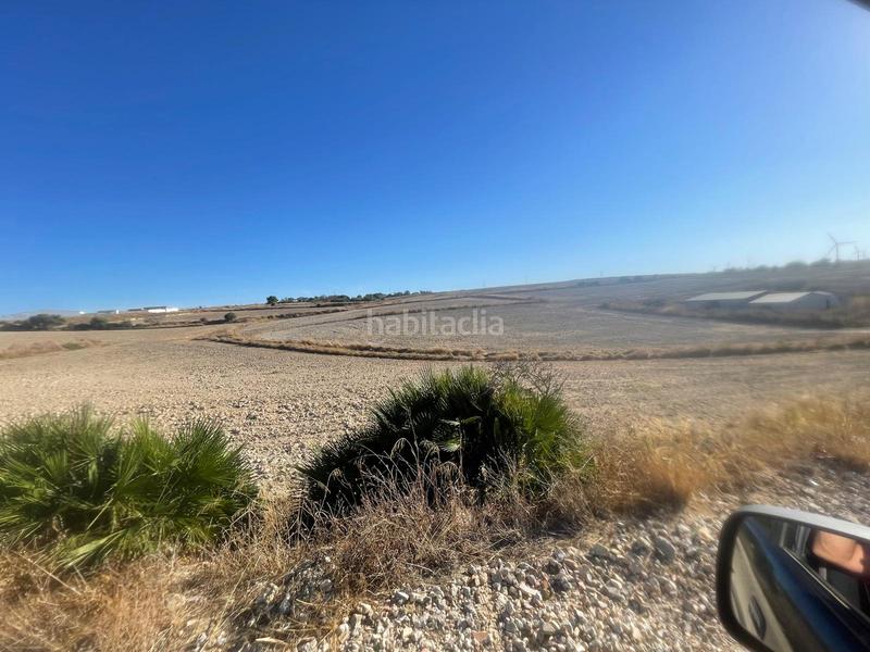Foto 2f41c46f-eeeb-4678-a61e-ac9decf0c910. Finca rústica parcela de cultivo en Los Franceses - La Vega Chiclana de la Frontera