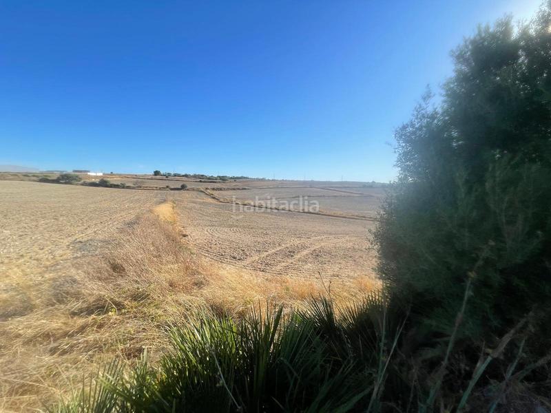 Foto 3da04bc0-fff7-4d46-9880-3275e06ca09f. Finca rústica parcela de cultivo en Los Franceses - La Vega Chiclana de la Frontera