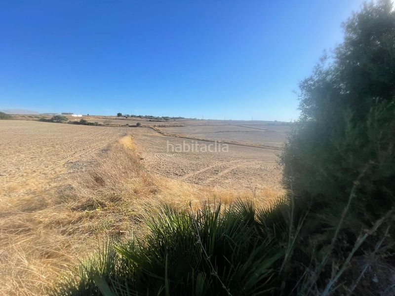 Foto 409de388-2550-4763-9582-340817299187. Finca rústica a Los Franceses - La Vega Chiclana de la Frontera