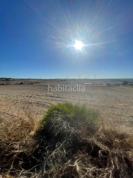 Foto 66cbb150-f49d-4593-a8ba-4d36290af53a. Finca rústica parcela de cultivo en Los Franceses - La Vega Chiclana de la Frontera