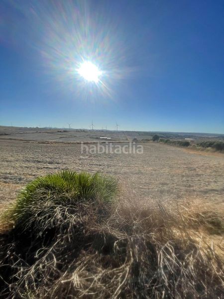 Foto 75fb9b04-2d65-43c0-9cbd-ecaf7836ffb7. Finca rústica a Los Franceses - La Vega Chiclana de la Frontera