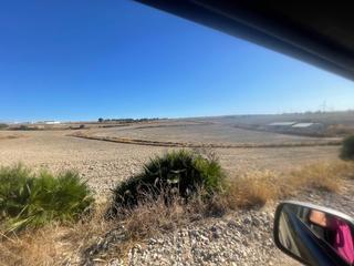 Finca rústica en Los Franceses - La Vega. Parcela de cultivo