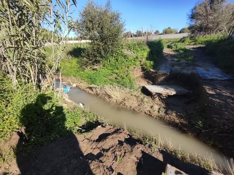 Foto 09eab080-10ab-4e8c-b97d-a49c16532ea3. Finca rústica parcela en Los Franceses - La Vega Chiclana de la Frontera