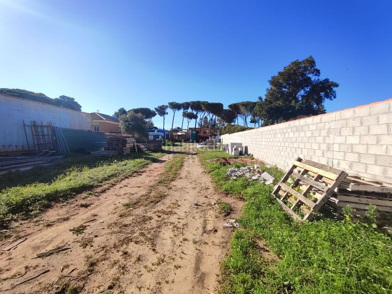 Foto 1aee96cf-64c0-4955-8a67-b126b3454302. Finca rústica a Los Franceses - La Vega Chiclana de la Frontera