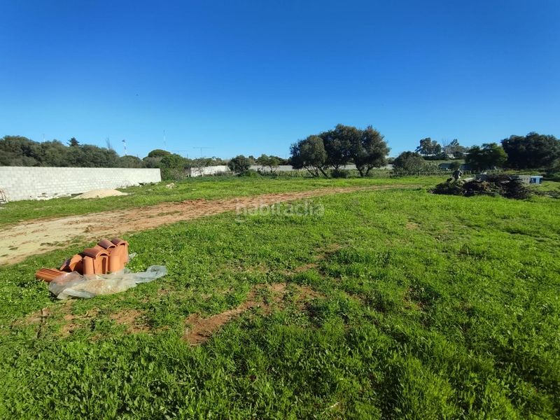 Foto 4457e8a4-492e-4094-b3b3-049ffbf8ded4. Finca rústica parcela en Los Franceses - La Vega Chiclana de la Frontera
