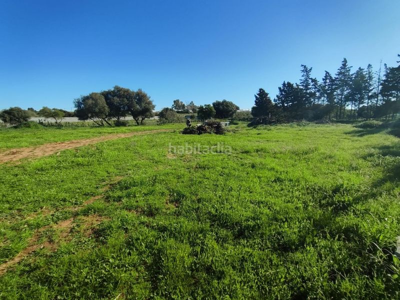 Foto 62c012d5-4232-4775-9615-225048df5555. Finca rústica parcela en Los Franceses - La Vega Chiclana de la Frontera