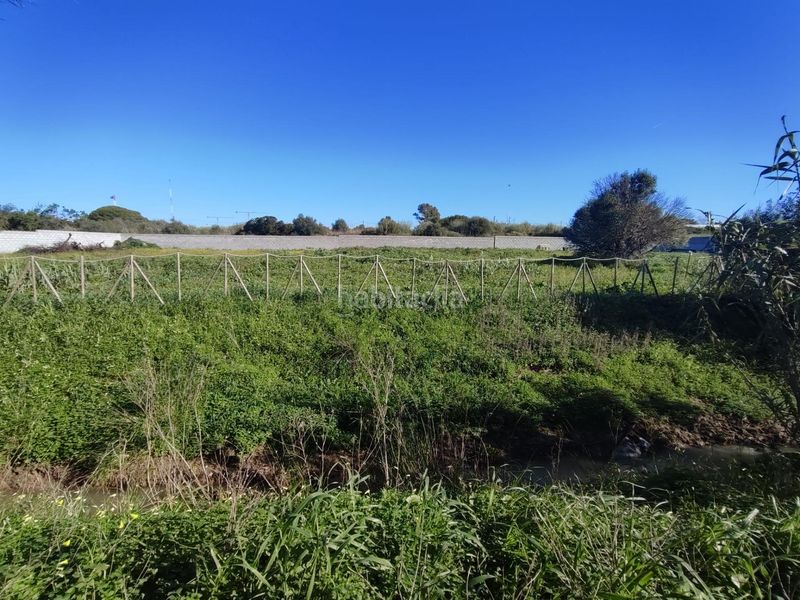 Foto ab6271e4-7eab-40f6-814f-213b0f28a472. Finca rústica parcela en Los Franceses - La Vega Chiclana de la Frontera
