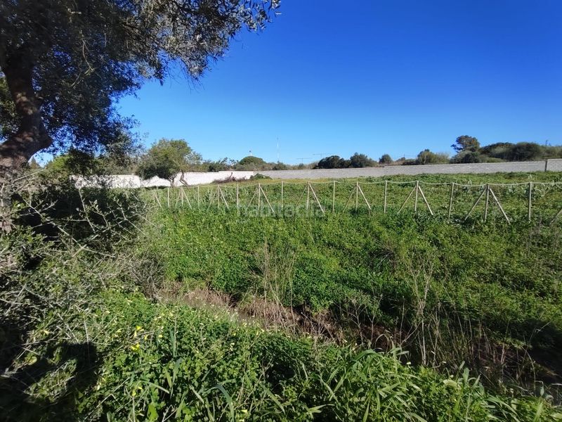 Foto b904fa56-b348-4e27-9401-91a303a38665. Finca rústica parcela en Los Franceses - La Vega Chiclana de la Frontera