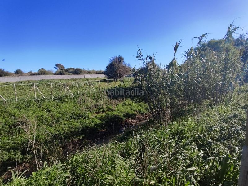 Foto ca363f2d-5e61-475e-bcdd-796d586d4baa. Finca rústica parcela en Los Franceses - La Vega Chiclana de la Frontera
