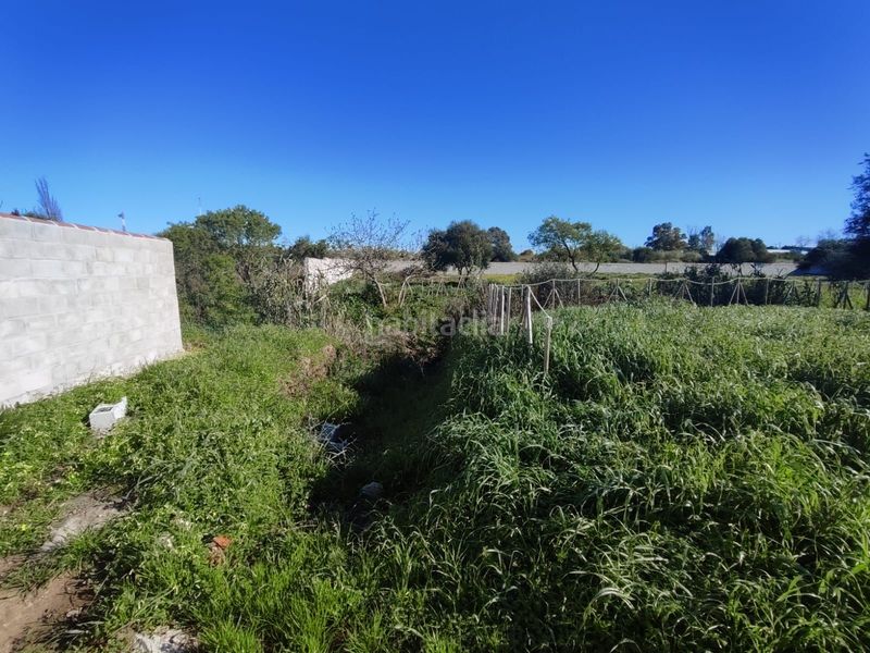 Foto cd9befe5-5d6c-4752-914e-ba1fe84696c2. Finca rústica parcela en Los Franceses - La Vega Chiclana de la Frontera