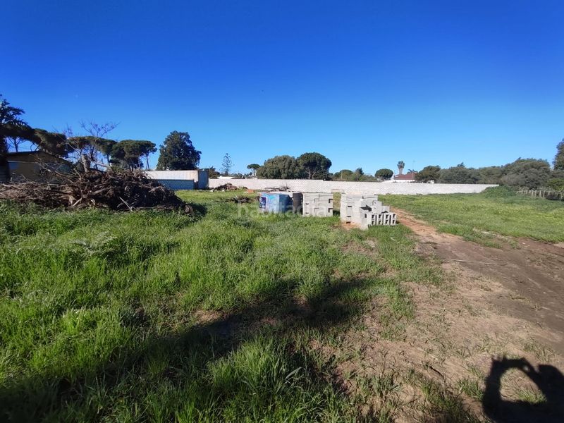 Foto e5c70404-b567-4b15-bb6e-9d61902a5ece. Finca rústica parcela en Los Franceses - La Vega Chiclana de la Frontera