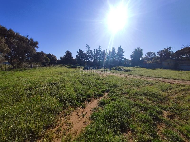 Foto f262eb57-83be-4a41-8247-464ded3a751b. Finca rústica parcela en Los Franceses - La Vega Chiclana de la Frontera