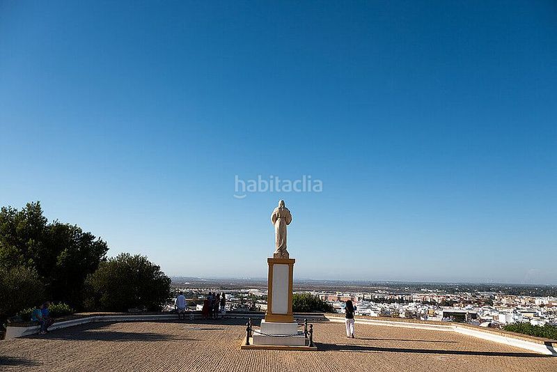 Foto 02c72399-0eb9-449e-9d26-c96da6ce6c62. Finca rústica a Villanueva Golf Puerto Real