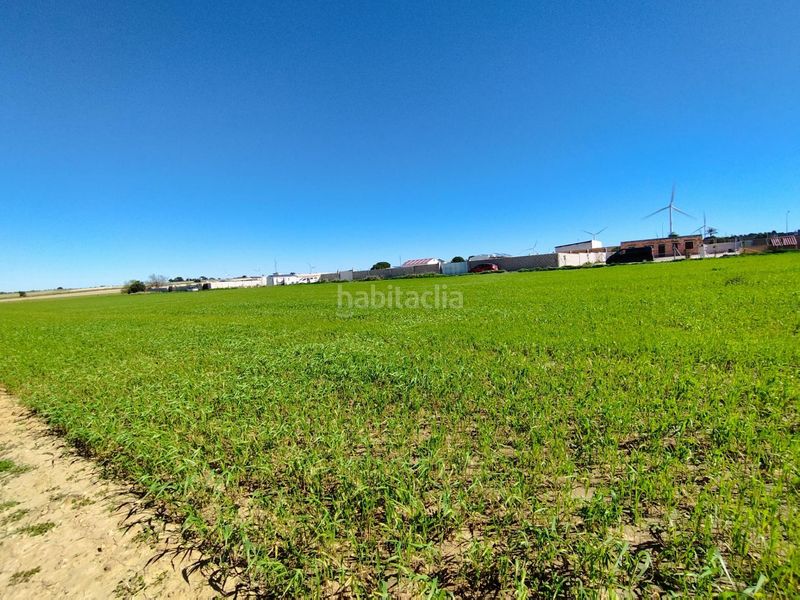 Foto 939227b5-eaed-43c1-8ab9-1bfc9e8e618a. Finca rústica a Villanueva Golf Puerto Real