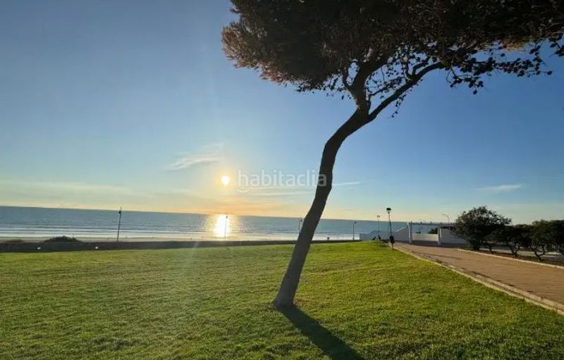 Foto 3ae43275-056e-47d3-ad4d-9c36b54b1c3c. Apartament a Conil Conil de la Frontera