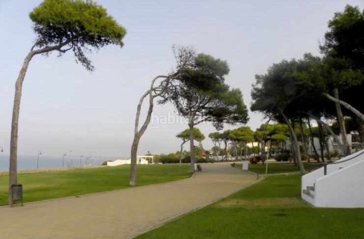 Foto 61d6326c-31ba-4462-9819-8afdf699b423. Apartament a Conil Conil de la Frontera