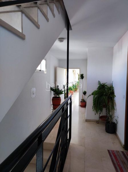 Foto 158a6546-3cc7-45f3-9798-0d0569d28040. Apartament a Bellavista Sevilla