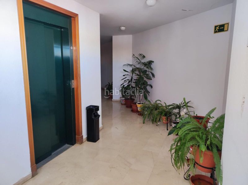 Foto e9d61fb4-4c74-44b8-b178-1ab89fb43a15. Apartament a Bellavista Sevilla