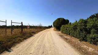 Finca rústica  A-2075. Parcela rústica