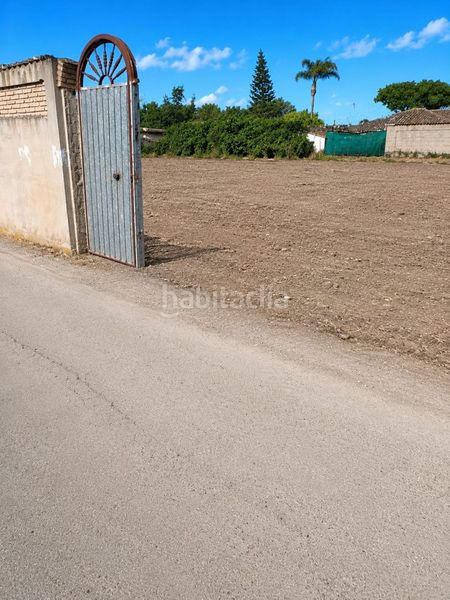Foto 2abe5964-94f0-4693-972d-4fd9bb701907. Finca rústica a Núcleo urbano Chiclana de la Frontera