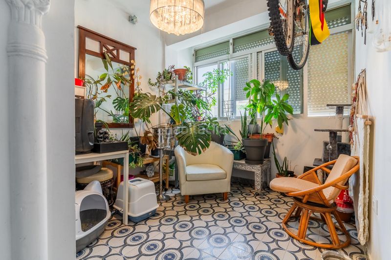 Foto ee52acb0-7ecd-4ab3-b38b-16ff6d1241bc. Apartamento piso en El Carmen San Fernando