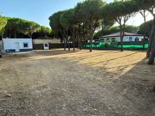 Landgut in Las Lagunas - Campano. Parcela