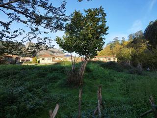 Finca rústica  Barrio otañez. Terreno en venta en otañesbaltezanaontón