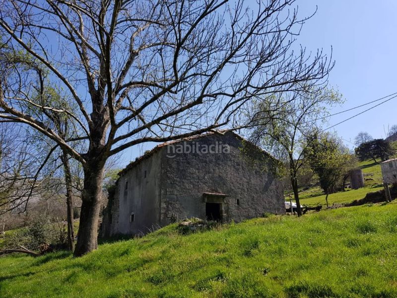 Foto 5dc53c26-fbca-4b03-a263-36394ebd7fd4. Finca rústica a Ruesga