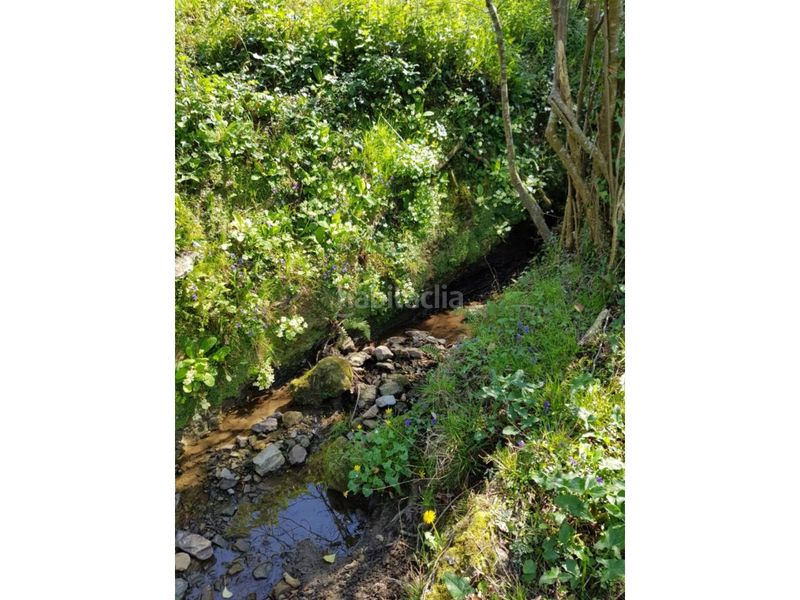 Foto af041d02-107a-48a5-aae9-3d4004c0e859. Finca rústica a Ruesga