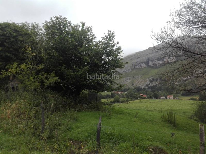 Foto e1a83377-9edd-4fc3-9640-d3ab3b6822dd. Finca rústica a Ruesga