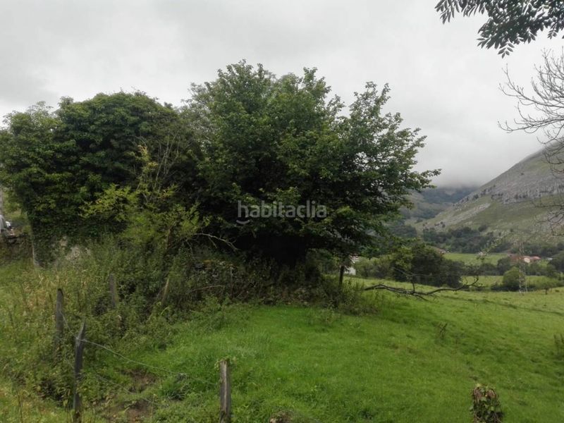 Foto fa69ea28-8982-4c6e-9551-eccd2ea0ed7e. Finca rústica a Ruesga
