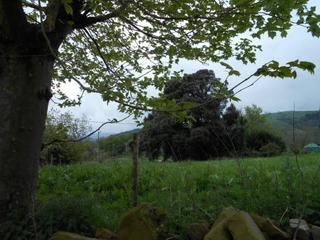 Propriété à Carranza. Terreno en venta