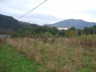Terrain résidentiel à Carranza. Terreno en venta