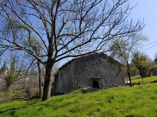 Finca rústica  Bo. la vega. Terreno en venta en matienzo