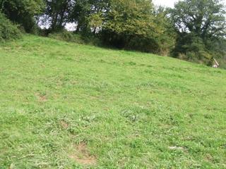 Terrain résidentiel à Carranza. Terreno en venta