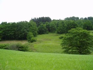 Terrain résidentiel à Carranza. Terreno en venta
