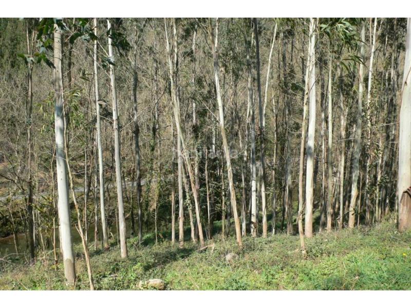 Foto 0a5d1787-fc7f-4e40-bd56-d1fe7cf9a8c1. Finca rústica a Trucios - Turtzioz