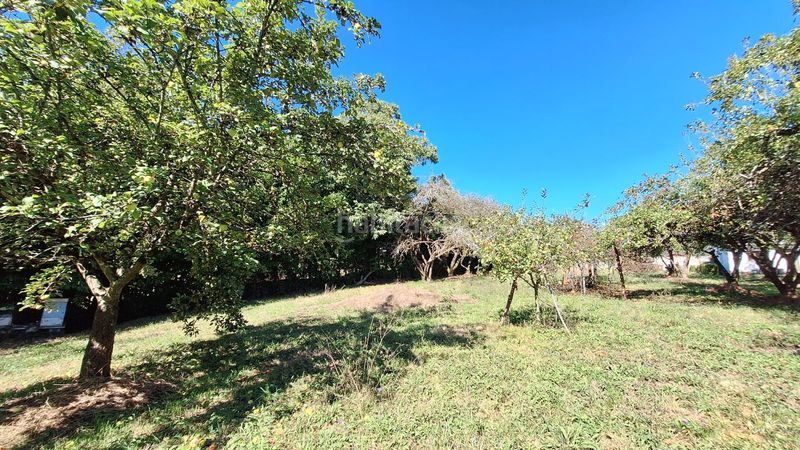 Foto 092bb0d8-d267-42ae-8671-89f4efaa3442. Masia a Regueras (Las)