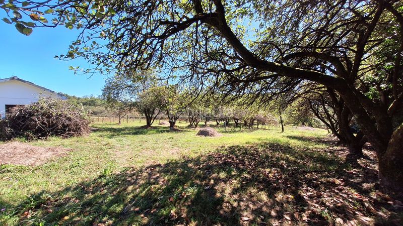 Foto 2190852b-2bb5-4875-b4de-8766c4c045bf. Masia a Regueras (Las)