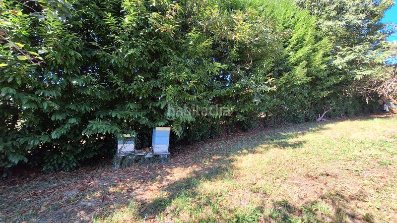 Foto 22e550f3-c699-4684-910f-1597f1d5f6df. Masia a Regueras (Las)